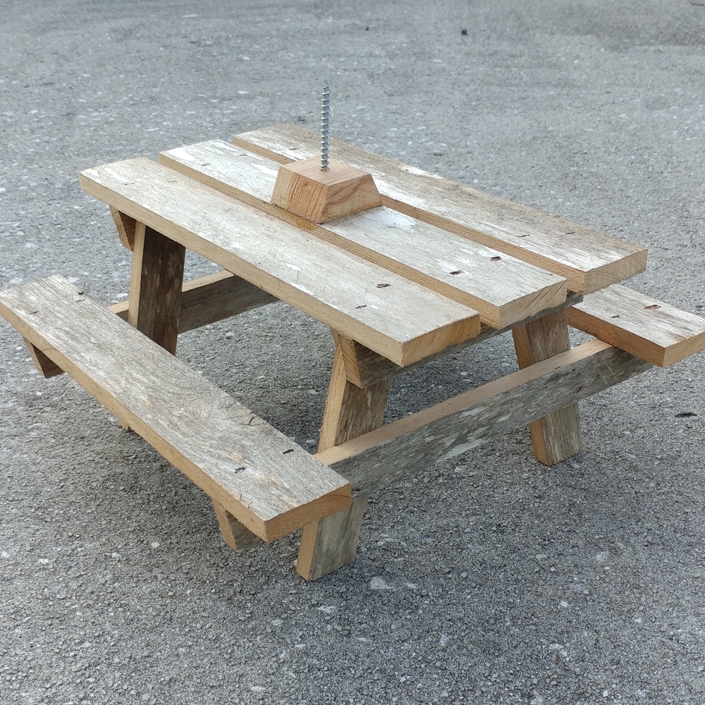 Squirrel corn picnic table novelty feeder gift - Picture 5 of 15
